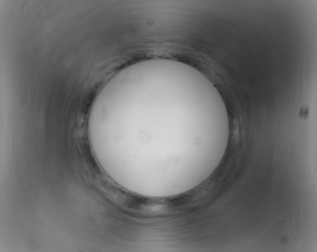 X0000113610514200909181054