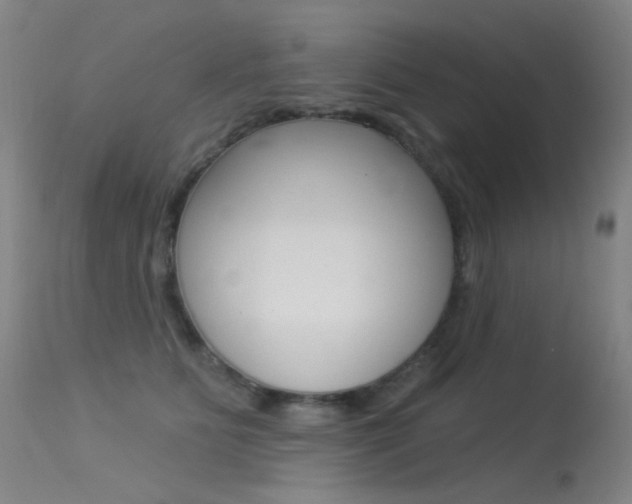 X0000113610515200909181054