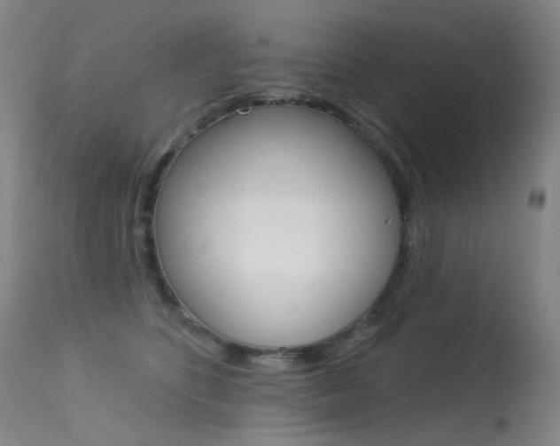 X0000113610516200909181054