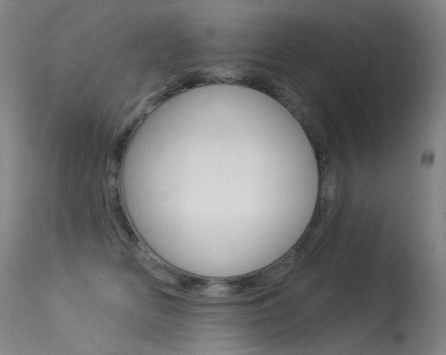 X0000113610518200909181054