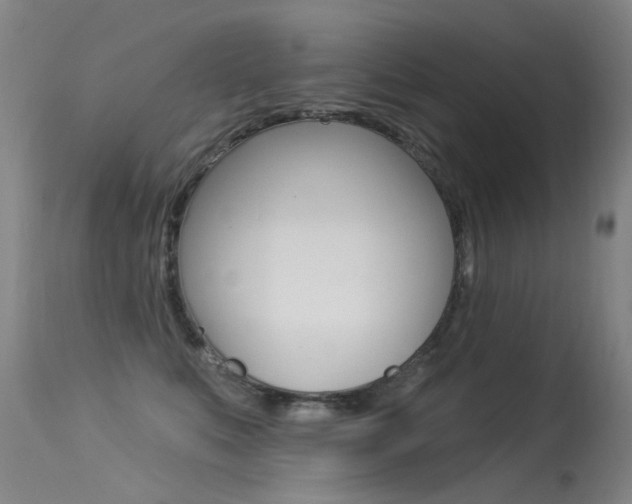 X0000113610519200909181054