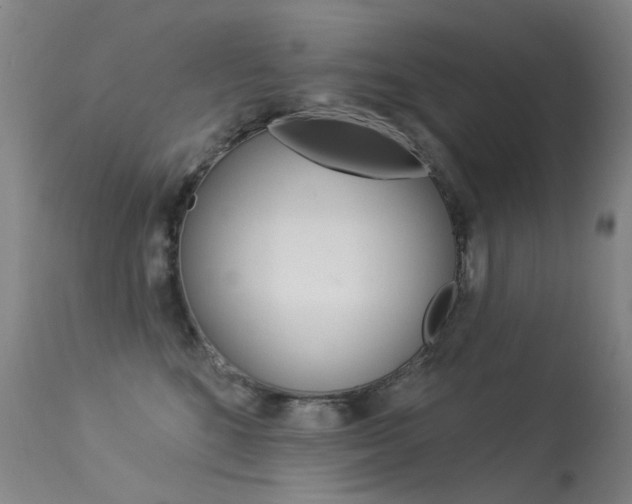 X0000113610520200909181054