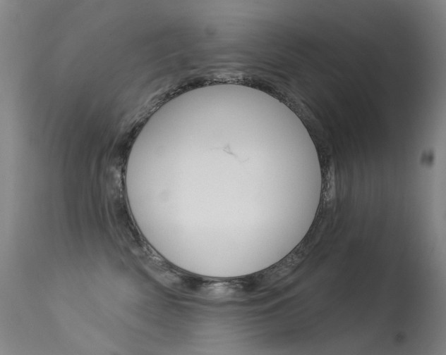 X0000113610522200909181054