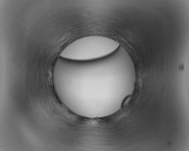 X0000113610523200909181054