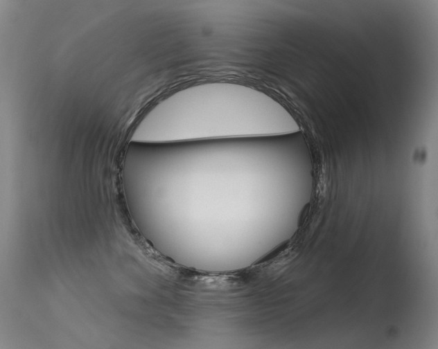 X0000113610524200909181054
