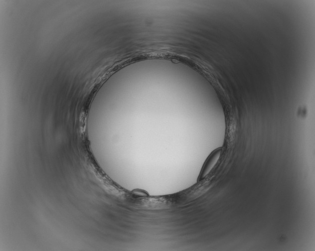 X0000113610525200909181054