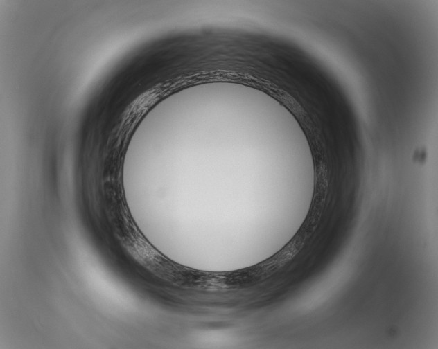 X0000113610526200909181054