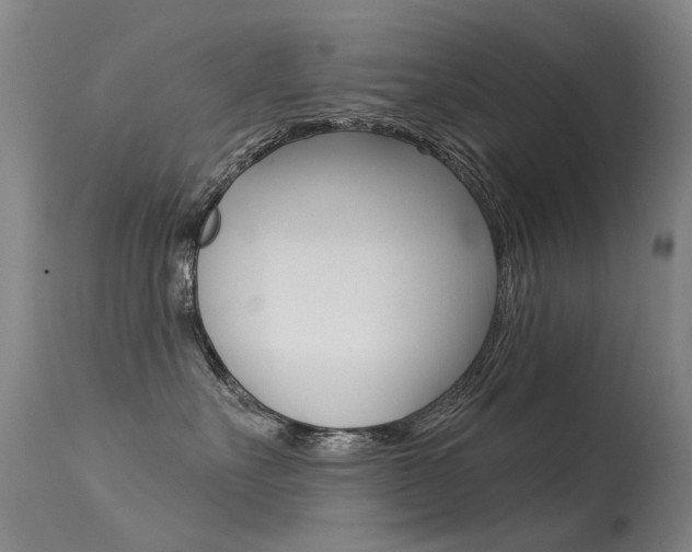 X0000113610527200909181054