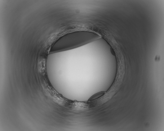 X0000113610528200909181054