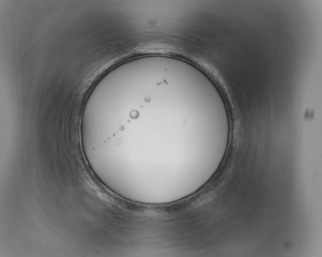 X0000113610529200909181054