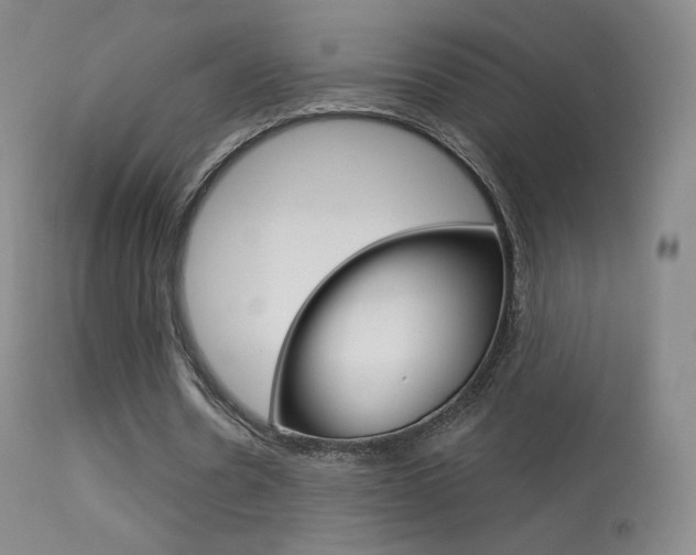 X0000113610530200909181054