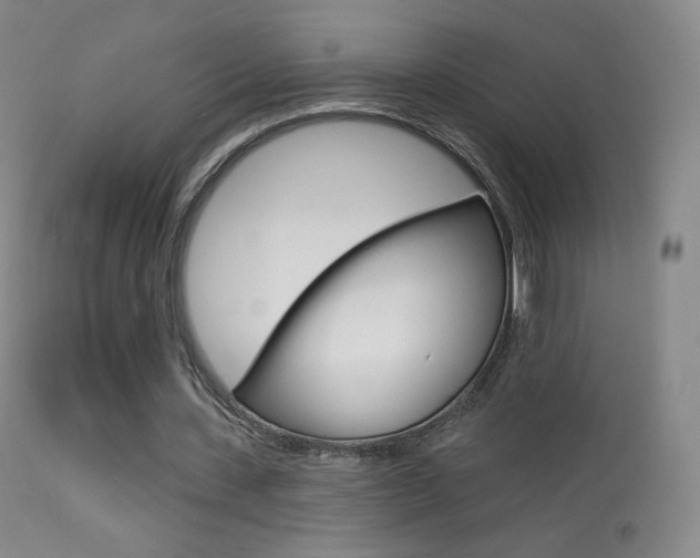 X0000113610531200909181054