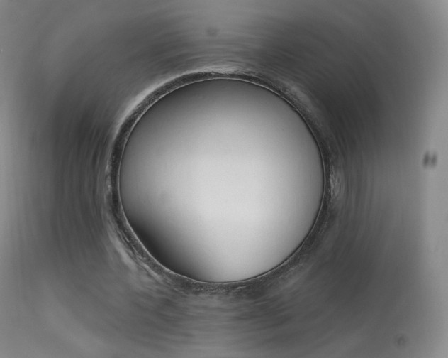 X0000113610532200909181054
