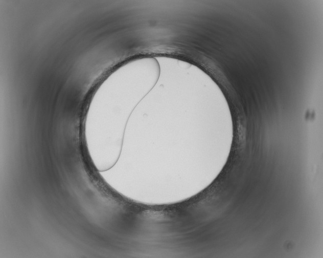 X0000113610534200909181054