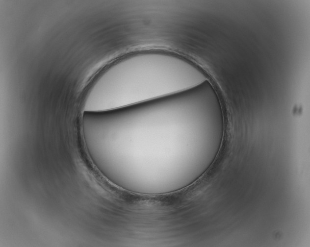 X0000113610535200909181054