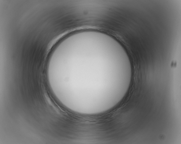 X0000113610536200909181054