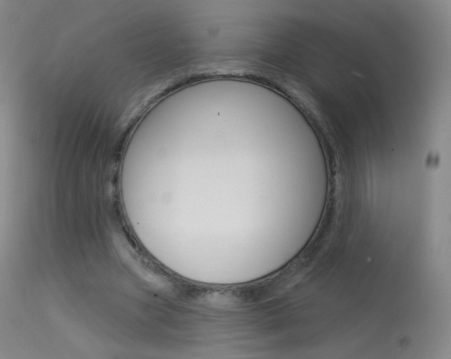X0000113610537200909181054