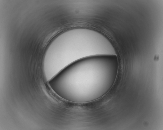 X0000113610538200909181054