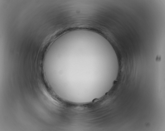 X0000113610542200909181054