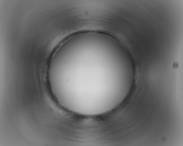 X0000113610544200909181054