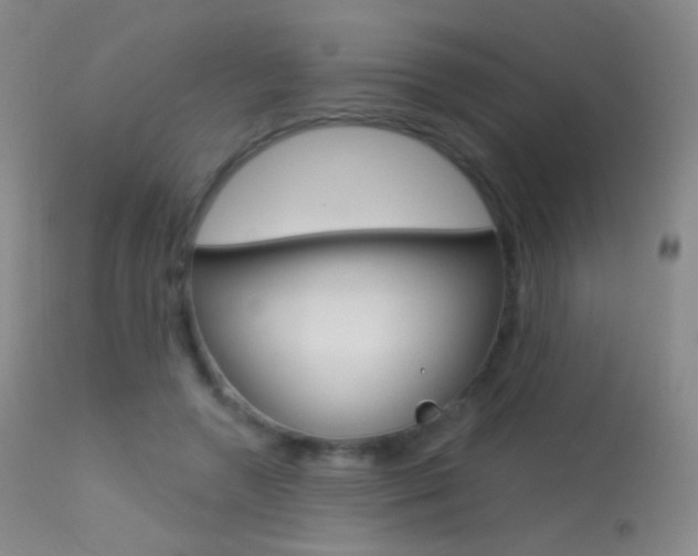X0000113610546200909181054