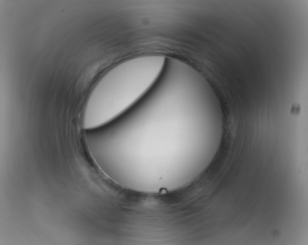 X0000113610547200909181054