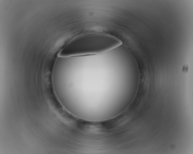X0000113610548200909181054