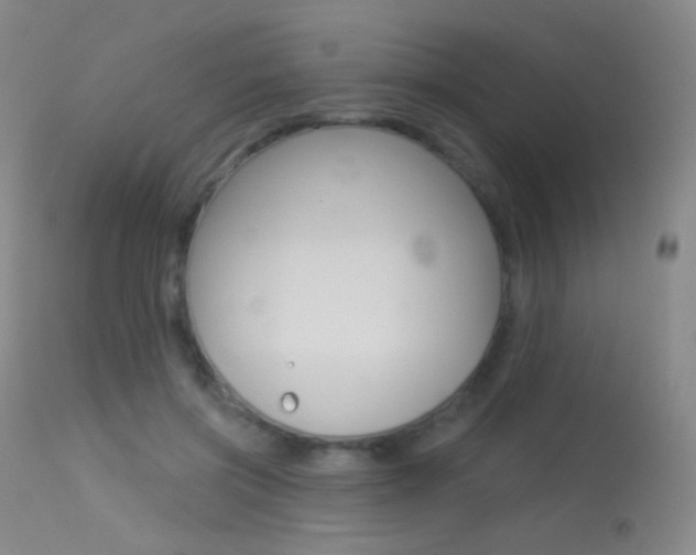 X0000113610549200909181054