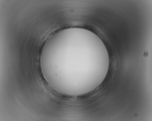 X0000113610550200909181054