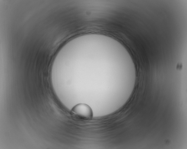 X0000113610552200909181054