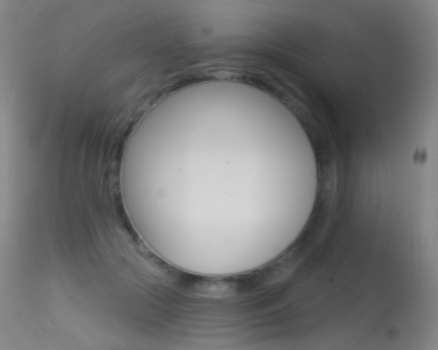 X0000113610553200909181054