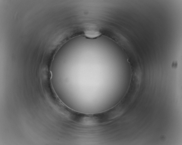 X0000113610556200909181054