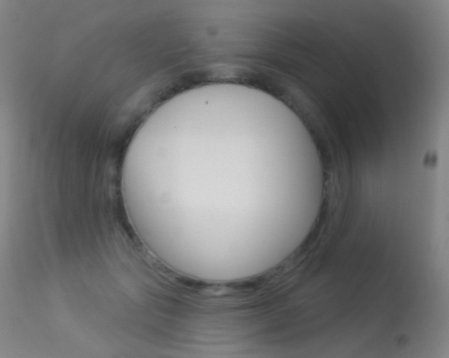 X0000113610557200909181054