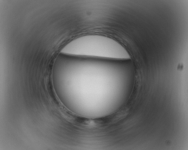 X0000113610558200909181054