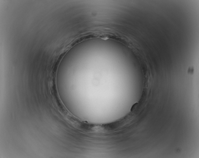 X0000113610562200909181054