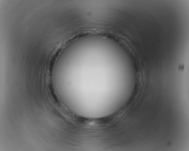 X0000113610564200909181054