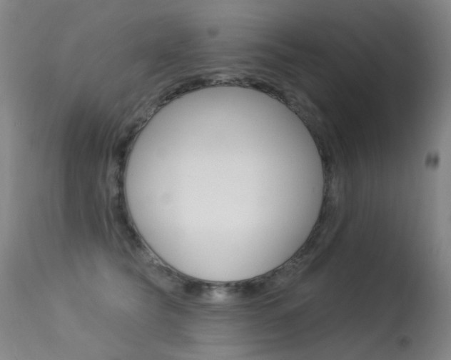 X0000113610565200909181054