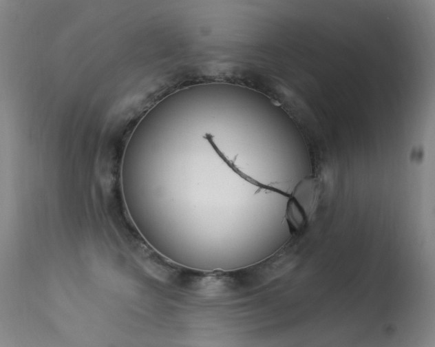 X0000113610566200909181054