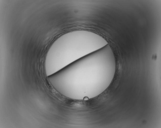 X0000113610567200909181054