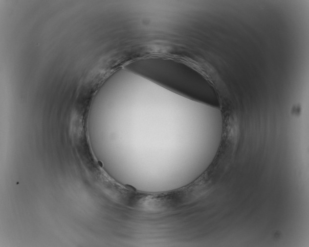 X0000113610568200909181054