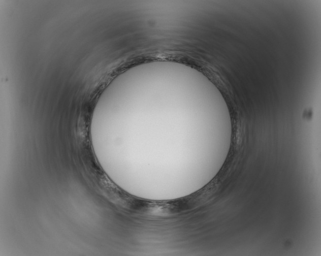 X0000113610569200909181054