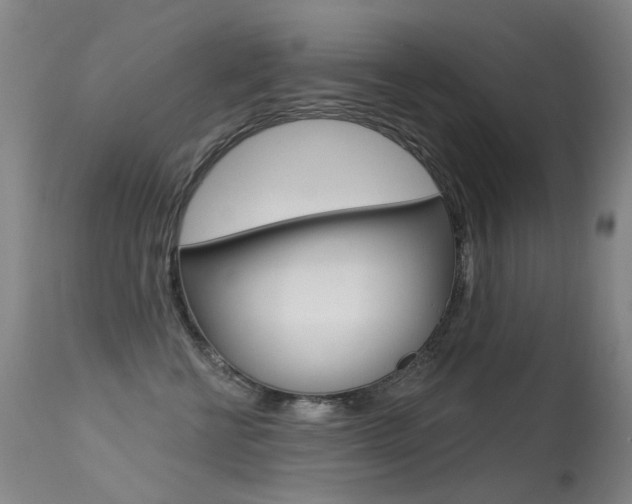 X0000113610570200909181054
