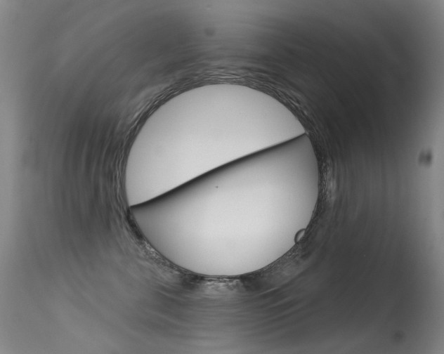 X0000113610571200909181054