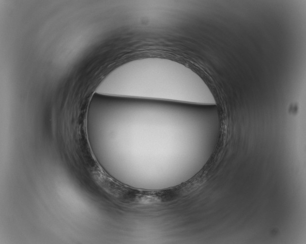 X0000113610572200909181054