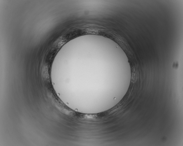 X0000113610573200909181054