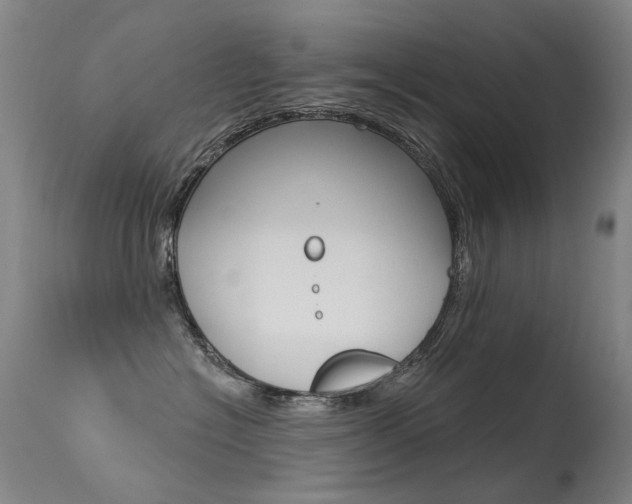 X0000113610574200909181054