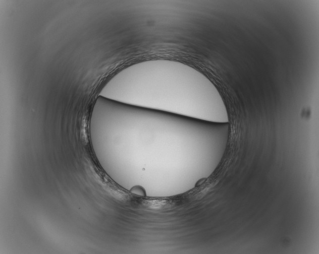X0000113610575200909181054