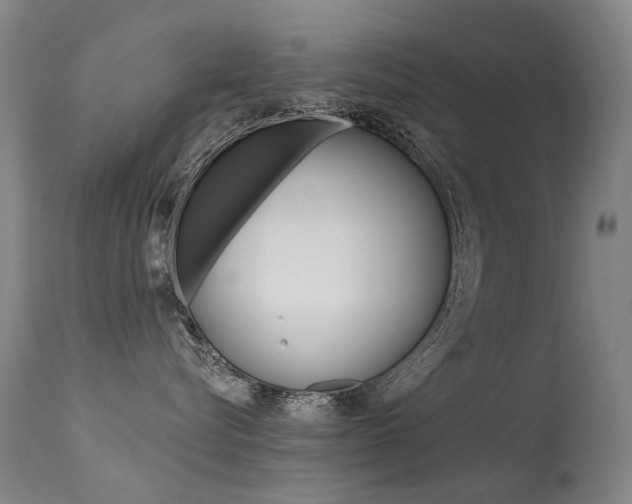 X0000113610576200909181054