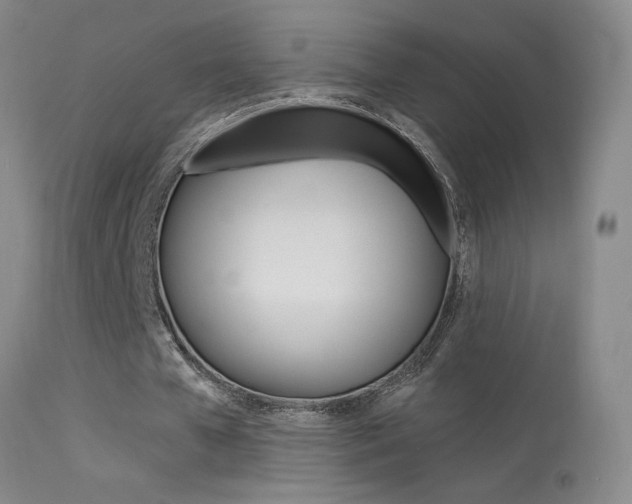 X0000113610577200909181054