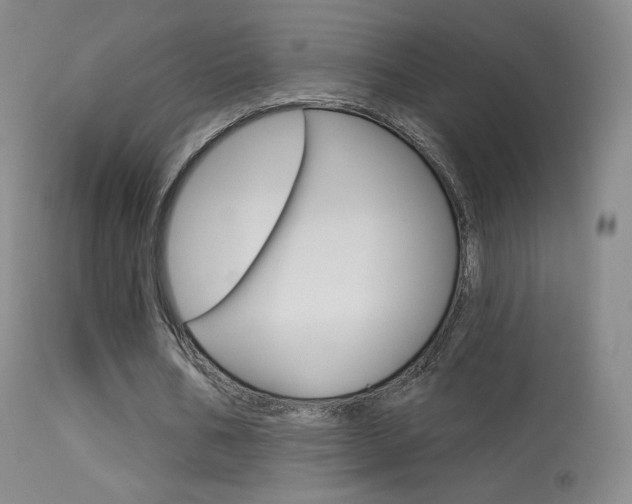 X0000113610578200909181054